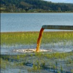 pollution Chemicals may end up in water and food supply.