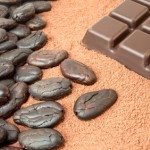 Cocoa and chocolate