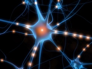 Sharpen memory and focus with these seven supplements.