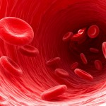 Supplementation with Omega-3s significantly improves measures of arterial stiffness