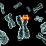 iStock_000001792275XSmall Certain nutrients and bioactives have protective effect on telomere length, according to recent review of telomere literature.