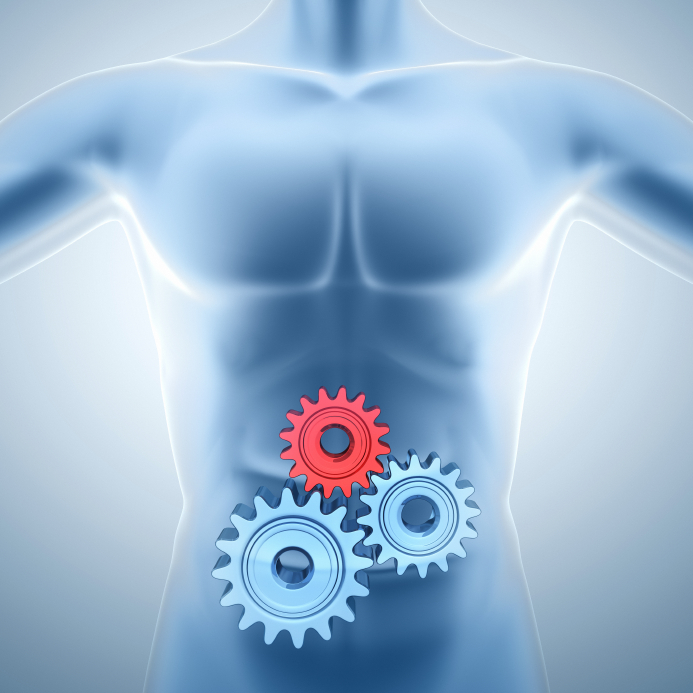 The Basics Of Detoxification Isagenix Health