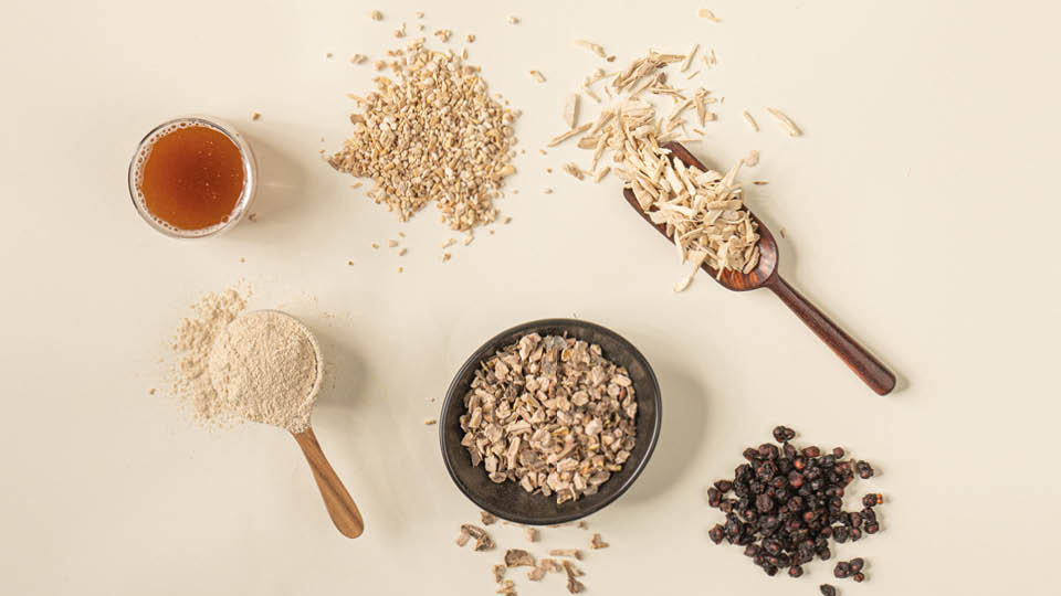 Adaptogen Elixir Ingredient Breakdown LaptrinhX / News